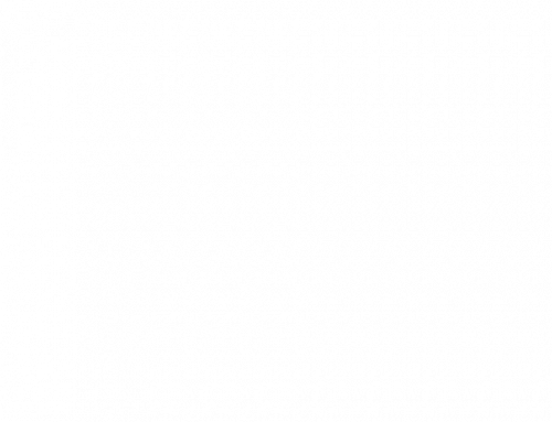 BWK