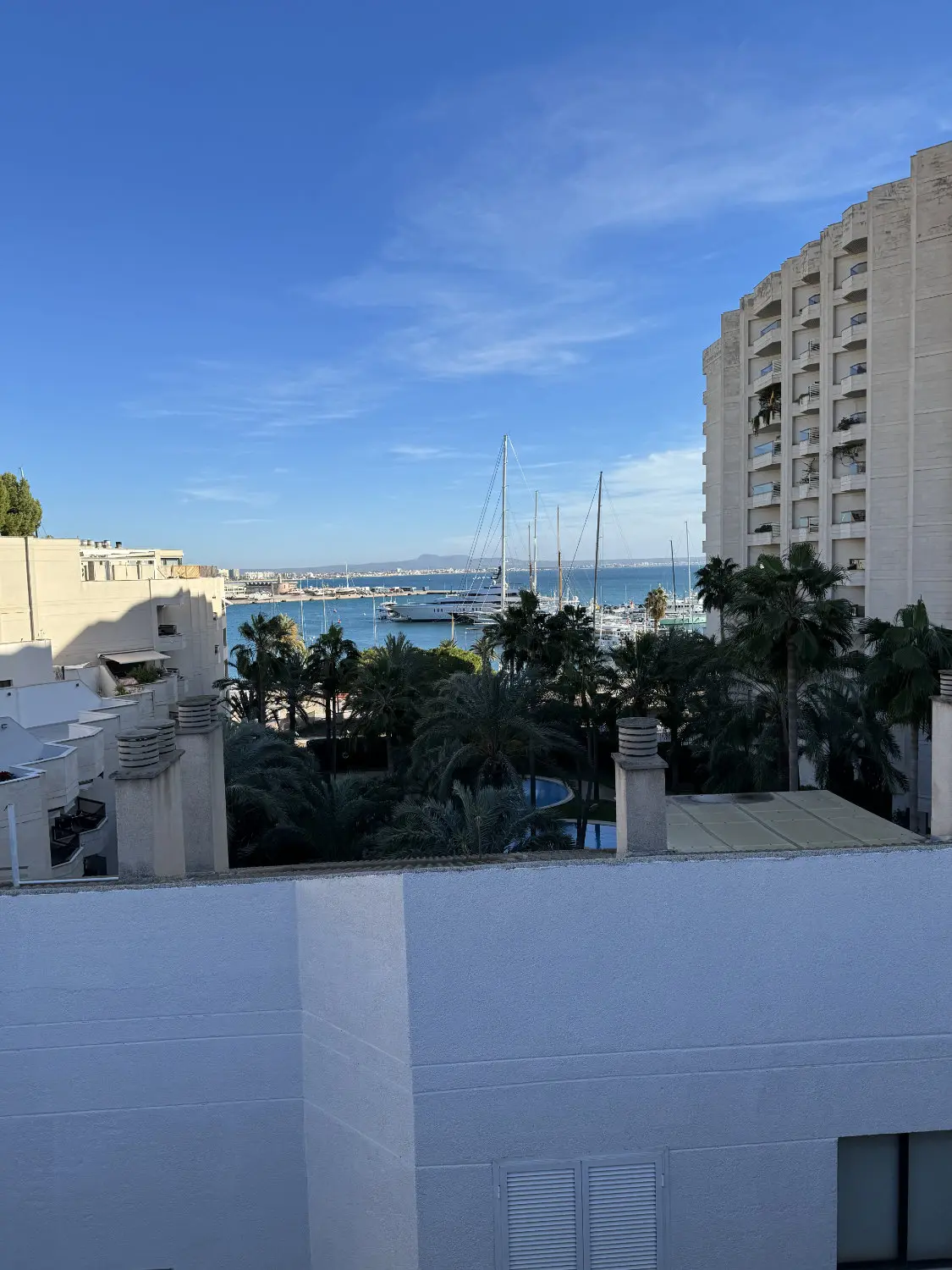 Ein Umgebungsfoto von der Eventlocation in Palma de Mallorca. Auf dem Bild sind im Vordergrund Palmen und andere Bäume zu sehen. Im Hintergrund erkennt man einen Hafen und das Meer