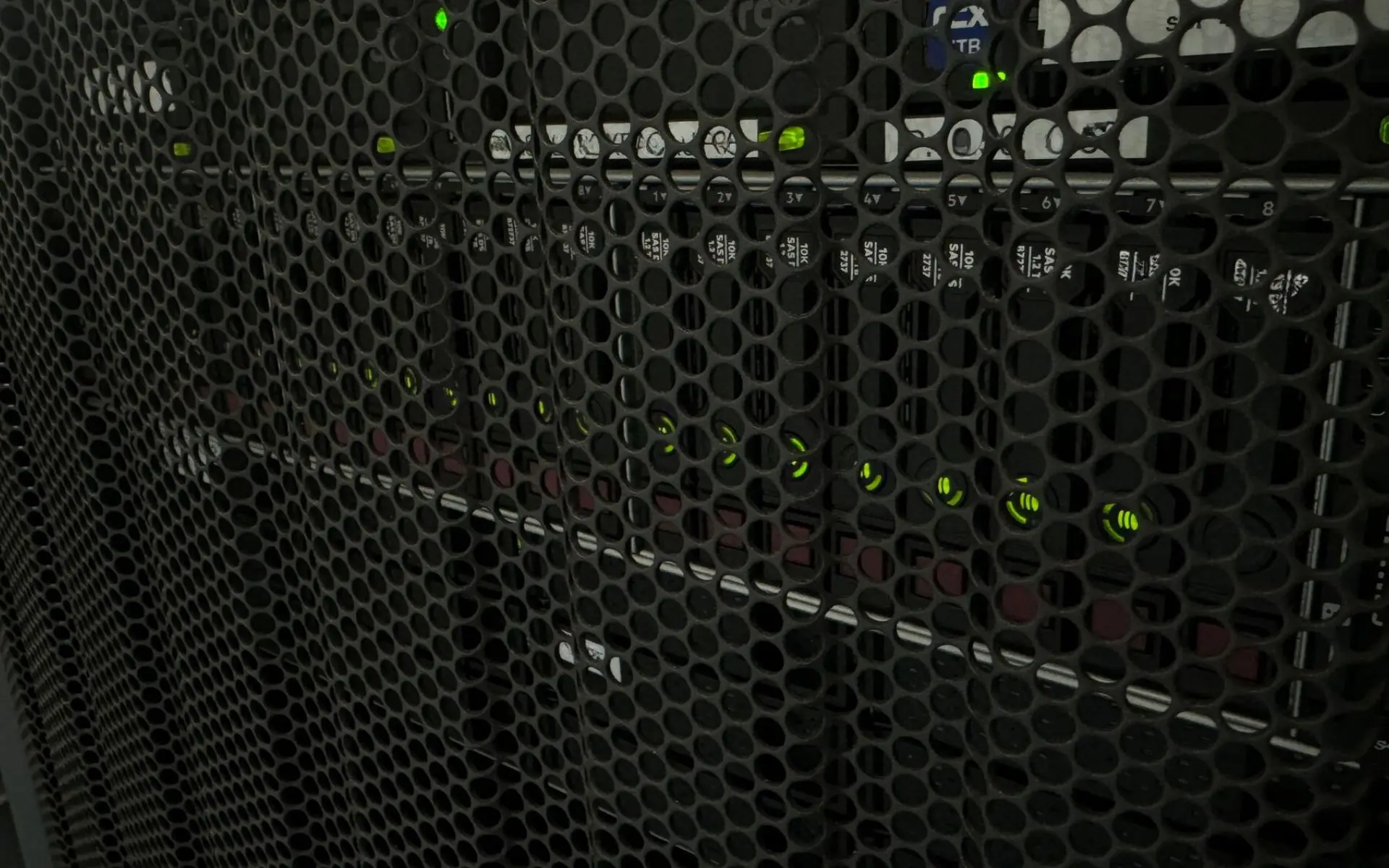 Nahaufnahme eines Serverschranks auf Welchem mehrere Festplatten mit einer grünen LED leuchten