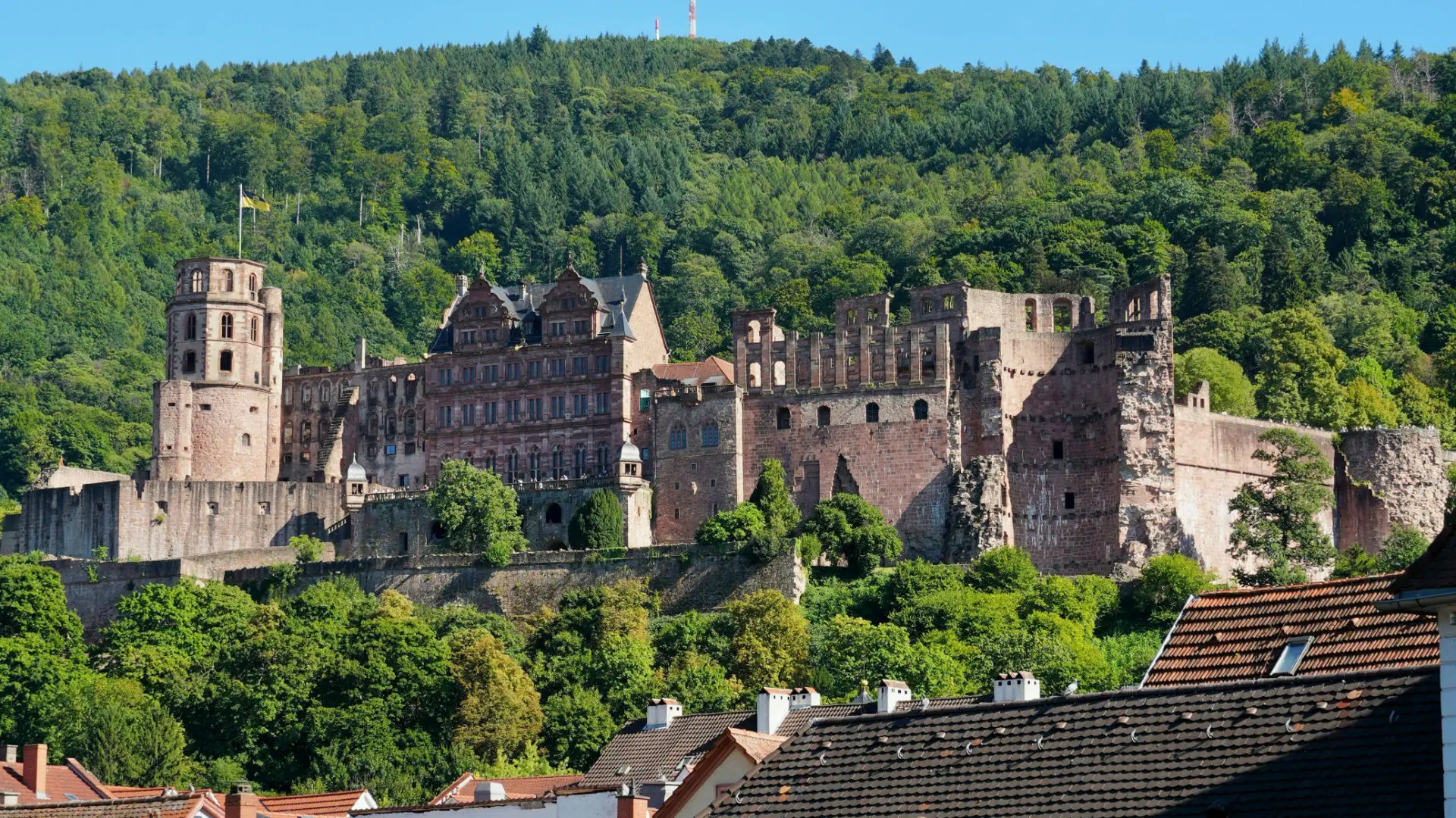 sac_bild_it-dienstleister-heidelberg Auf dem Foto ist die Burg von Heidelberg zu sehen. SAC ist IT-Dienstleister in Heidelberg.